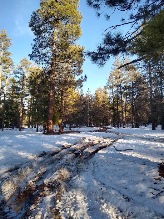 East Flats Campground Picture 10