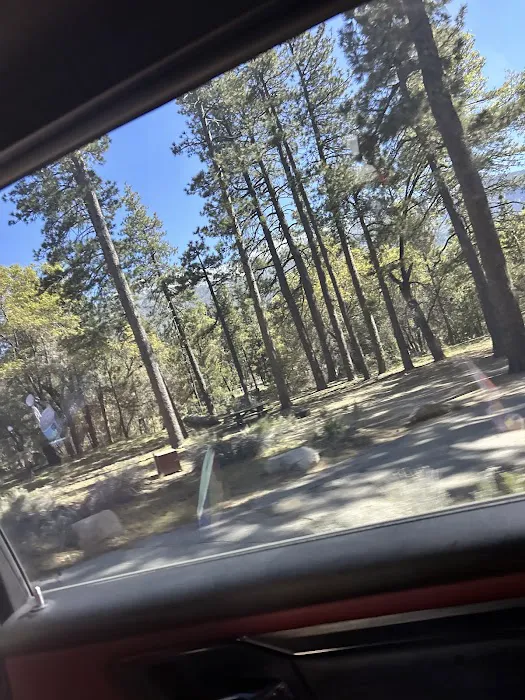 East Flats Campground Picture 8