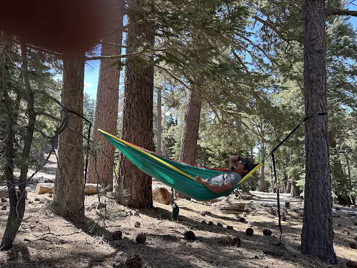 Boulder Basin Campground Picture 6