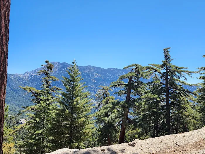 Boulder Basin Campground Picture 4