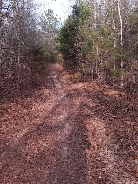 Cottage Cove Picture 2