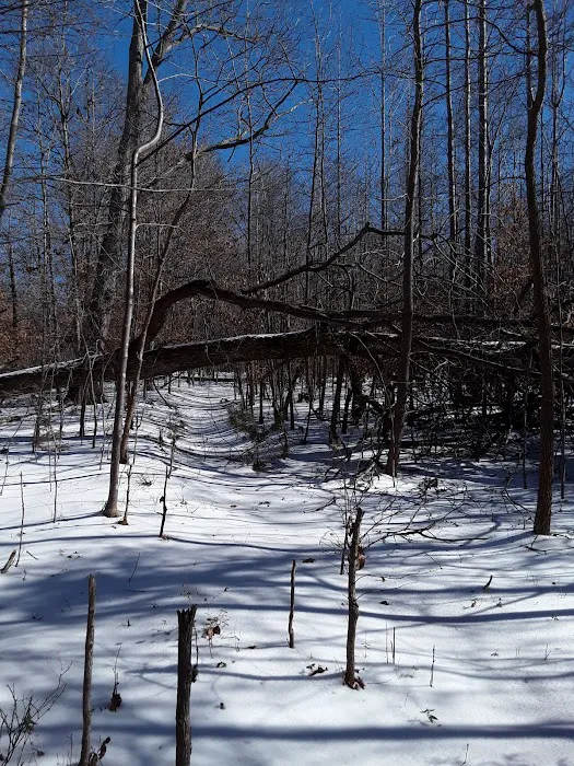 Cottage Cove Picture 9