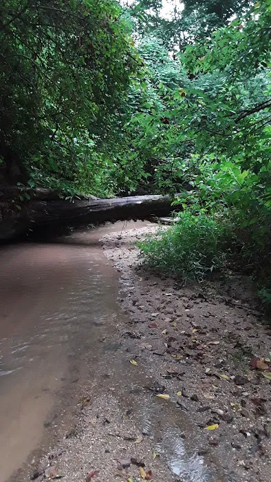 Cottage Cove Picture 5