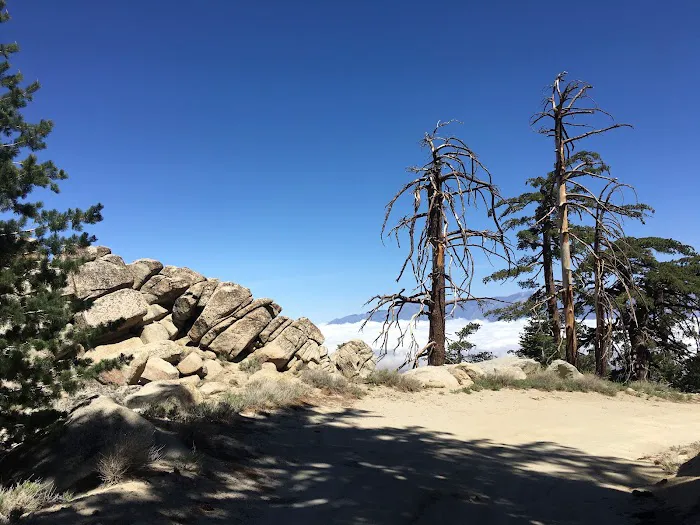 Black Mountain Yellow Post Sites Picture 4