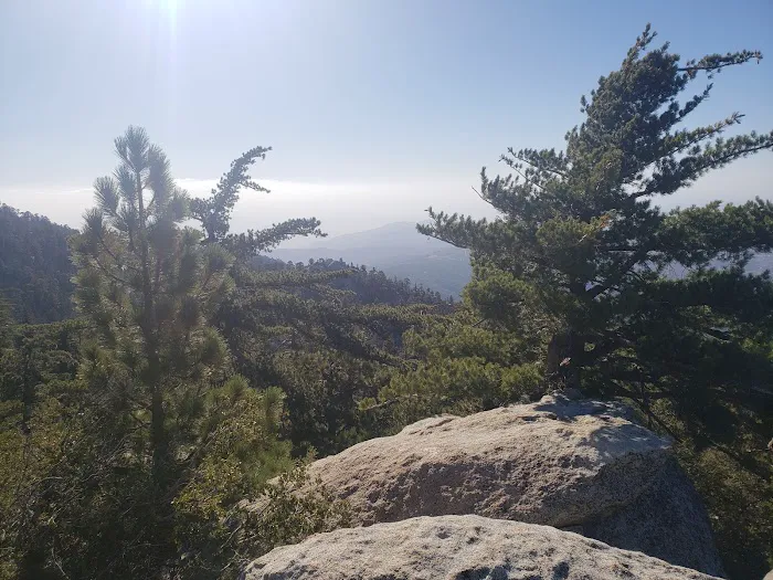 Black Mountain Yellow Post Sites Picture 7