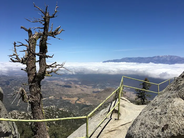 Black Mountain Yellow Post Sites Picture 2