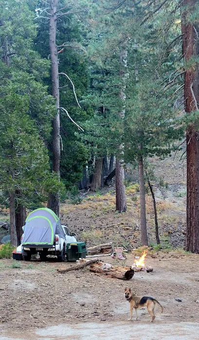 Black Mountain Yellow Post Sites Picture 1