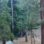 Black Mountain Yellow Post Sites