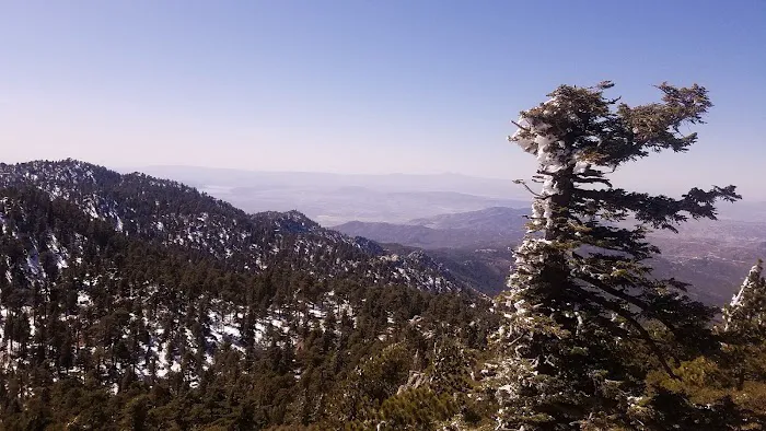 Black Mountain Group Campground Picture 5