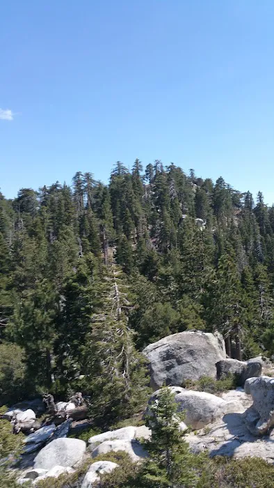 Black Mountain Group Campground Picture 1