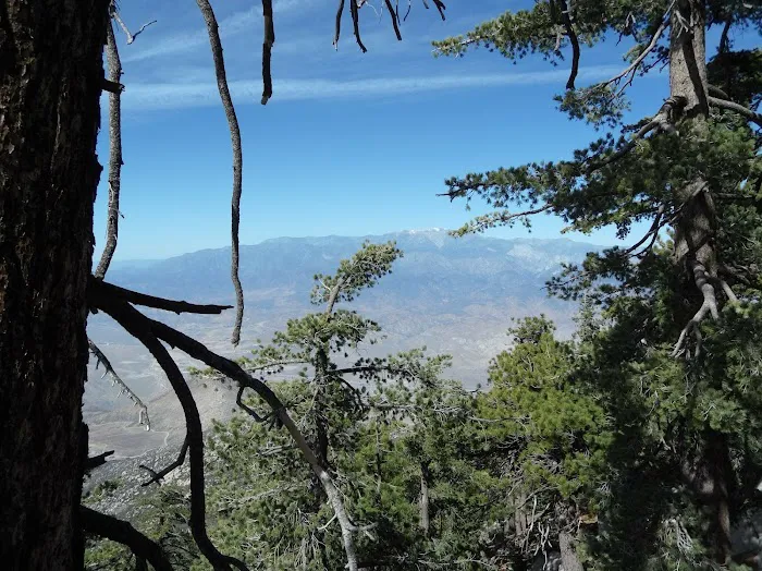 Black Mountain Group Campground Picture 3