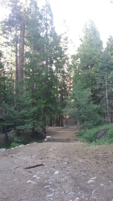 Santa Ana River - South Fork (recgovnpsdata) Picture 7