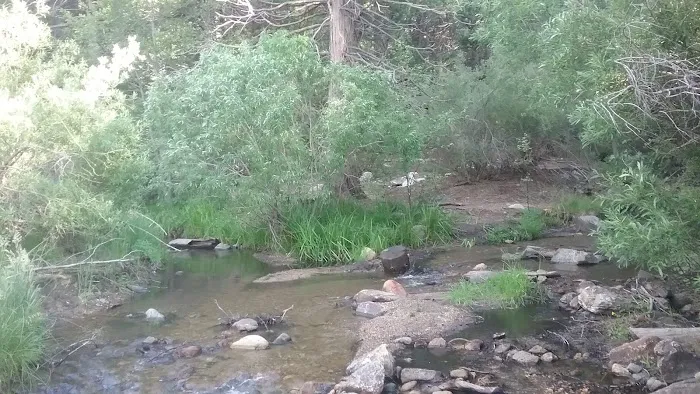 Santa Ana River - South Fork (recgovnpsdata) Picture 3