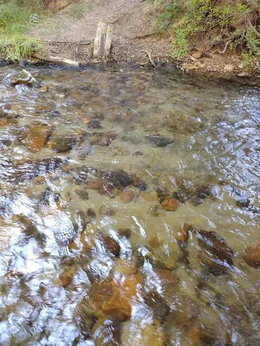 Santa Ana River - South Fork (recgovnpsdata) Picture 5