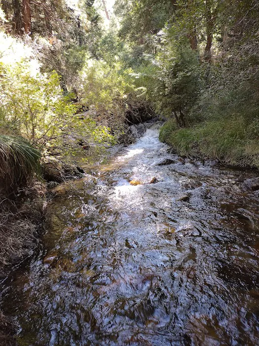 Santa Ana River - South Fork (recgovnpsdata) Picture 9