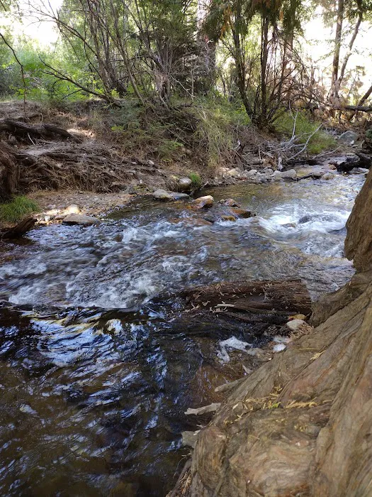Santa Ana River - South Fork (recgovnpsdata) Picture 8