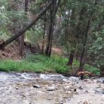 South Fork Trail Head Upper SART