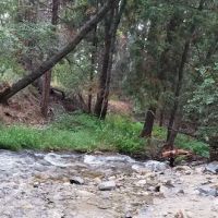 South Fork Trail Head Upper SART ico