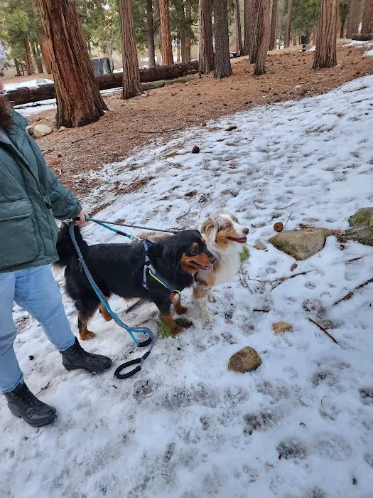 Coon Creek Cabin Group Campground Picture 3