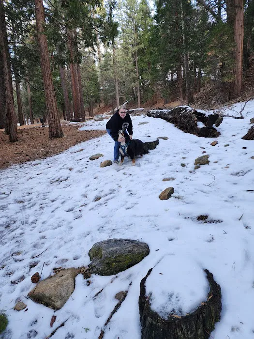 Coon Creek Cabin Group Campground Picture 1