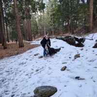 Coon Creek Cabin Group Campground ico