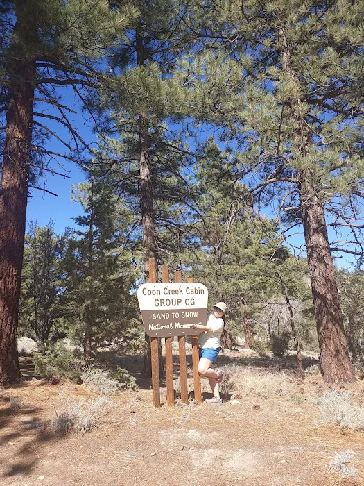 Coon Creek Cabin Group Campground Picture 4