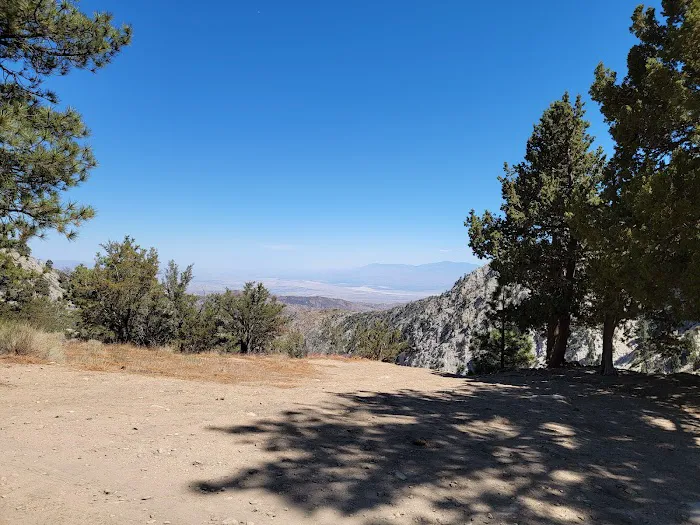 Coon Creek Cabin Group Campground Picture 6