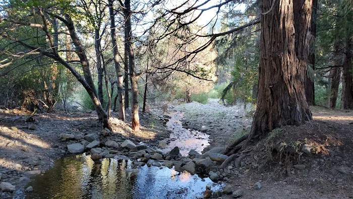 South Fork Family Campground Picture 1