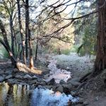 South Fork Family Campground