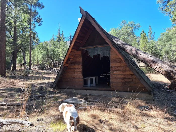 South Fork Family Campground Picture 2