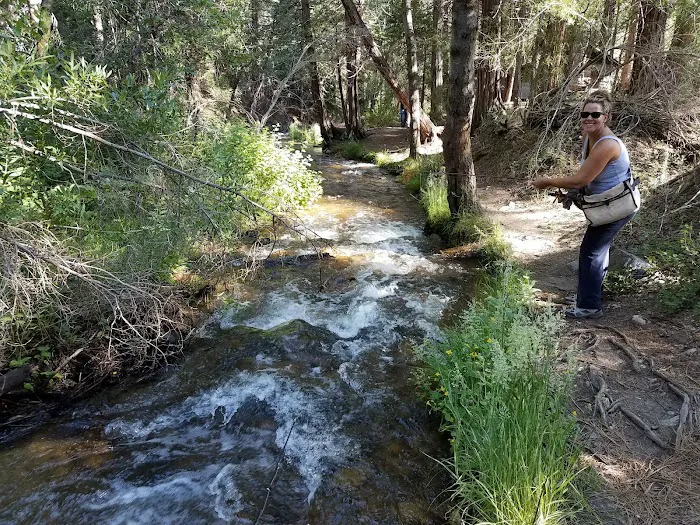 South Fork Family Campground Picture 10