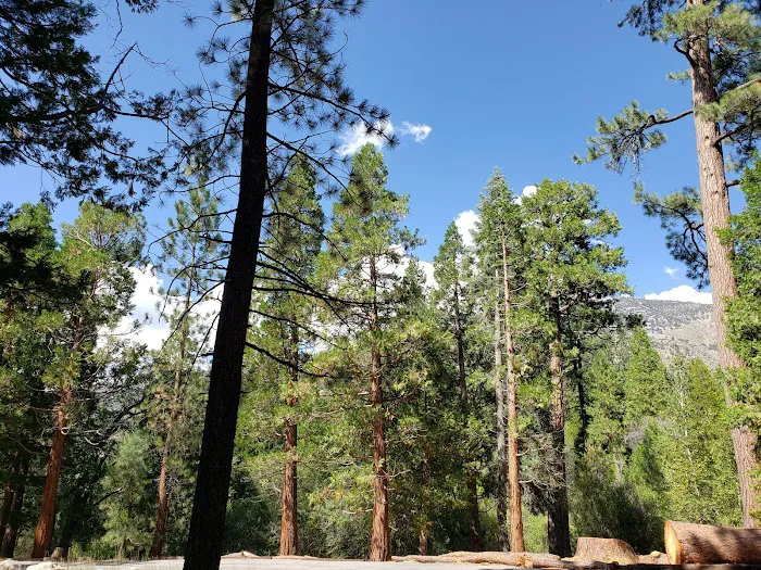 South Fork Family Campground Picture 9