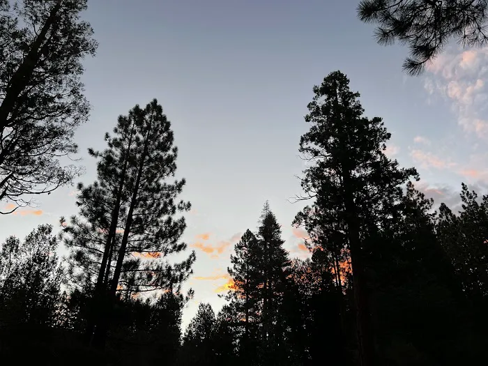 South Fork Family Campground Picture 5