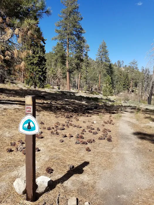 Mission Springs PCT Trail Camp Picture 10