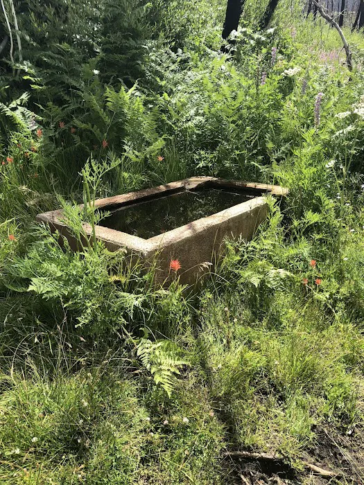 Mission Springs PCT Trail Camp Picture 6