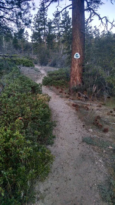 Mission Springs PCT Trail Camp Picture 2