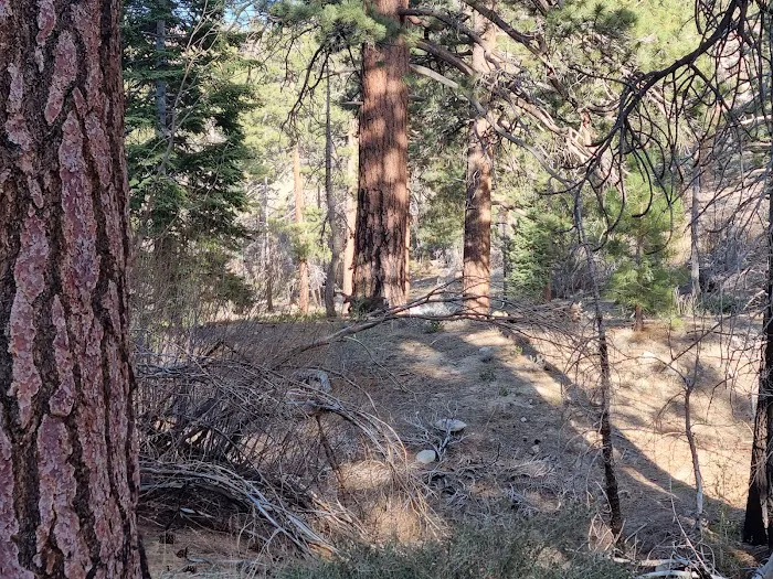 Mission Springs PCT Trail Camp Picture 8