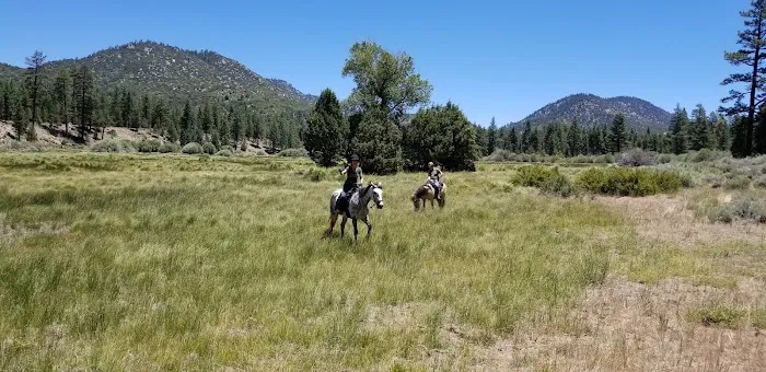 Heart Bar Equestrian Group Campground Picture 8