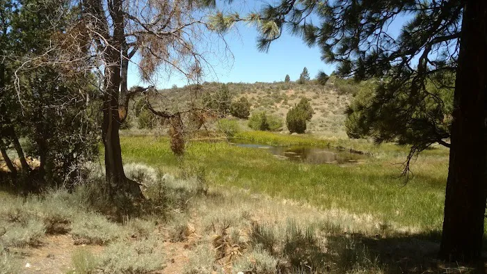 Heart Bar Equestrian Group Campground Picture 6