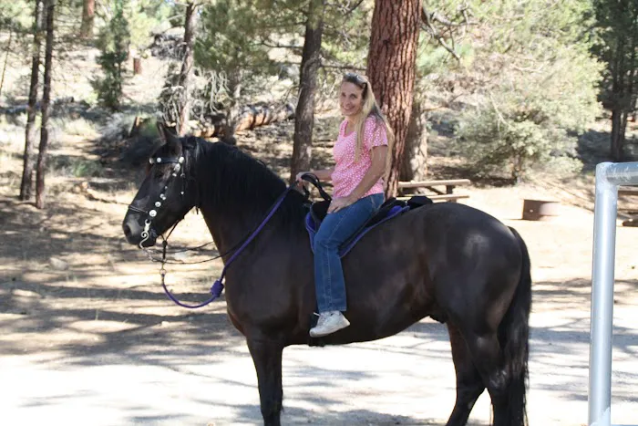 Heart Bar Equestrian Group Campground Picture 2