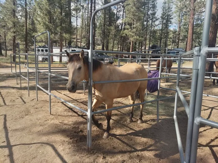Heart Bar Equestrian Group Campground Picture 5