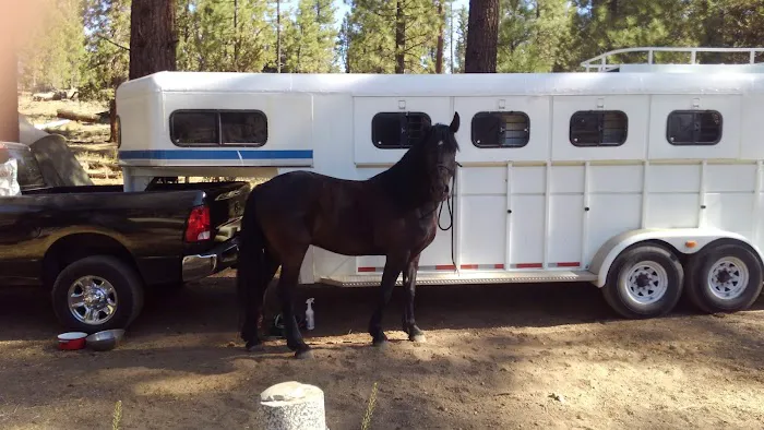 Heart Bar Equestrian Group Campground Picture 7