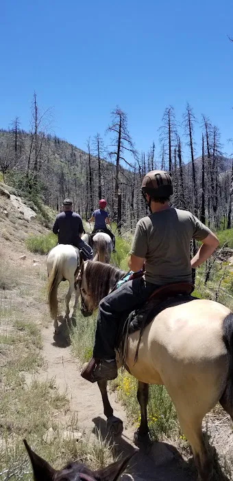 Heart Bar Equestrian Group Campground Picture 3