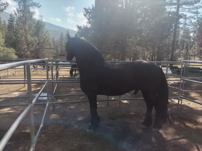 Heart Bar Equestrian Group Campground Picture 10