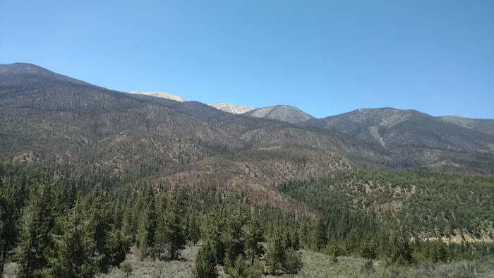 Heart Bar Equestrian Group Campground Picture 4