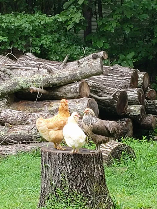 Private RV State Park Campground Site Picture 3