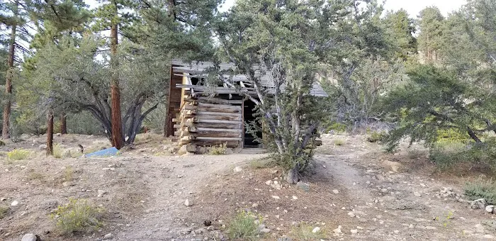 Wild Horse Equestrian Camp Picture 7