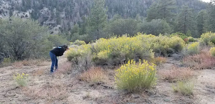 Wild Horse Equestrian Camp Picture 2