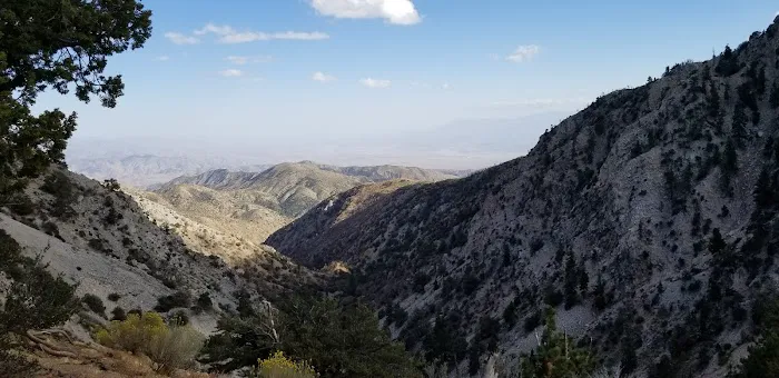 Wild Horse Equestrian Camp Picture 1