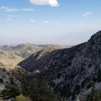 Wild Horse Equestrian Camp ico